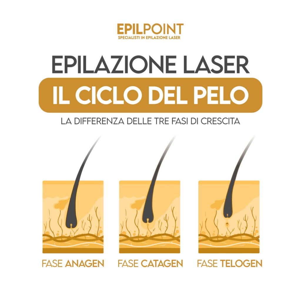 epilazione laser e il ciclo del pelo